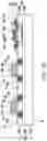 Fig. 08 - Semiconductor structure and manufacturing method thereof