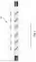 Fig. 07 - LED filament assembly and lamp including the same