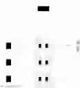 Fig. 11 - LED filament assembly and lamp including the same