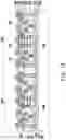 Fig. 14 - Integrated circuit package and method