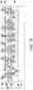 Fig. 32 - Integrated circuit package and method