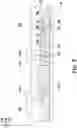 Fig. 09 - Electrostatic discharge protection apparatus and integrated passive device with capacitors