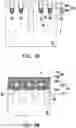 Fig. 25 - Method of fabricating dynamic random access memory