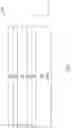 Fig. 07 - Vertical 2-transistor memory cell