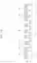 Fig. 28 - Three-dimensional semiconductor memory device
