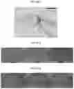 Fig. 24 - Three-dimensional photodetector and method of manufacturing the same