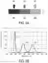 Fig. 03 - Display device