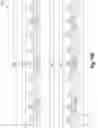 Fig. 17 - Piezo-resistive transistor based resonator with anti-ferroelectric gate dielectric