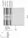Fig. 05 - RF device integrated on an engineered substrate