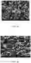 Fig. 05 - METHOD FOR MAKING INFRARED LIGHT ABSORBER
