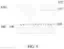 Fig. 06 - METHOD FOR MAKING INFRARED LIGHT ABSORBER
