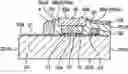 Fig. 01 - Light emitting device having light shielding member formed in recess of cover member and method for manufacturing the same