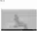 Fig. 13 - Quantum dot and wavelength converting member, lighting member, back light unit, and display device using quantum dot, and method of producing quantum dot