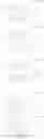 Fig. 613 - SPIROBIFLUORENE DERIVATIVES FOR USE IN ELECTRONIC DEVICES