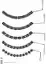 Fig. 05 - BIOCOMPATIBLE RECHARGABLE ENERGIZATION ELEMENTS FOR BIOMEDICAL DEVICES WITH ELECTROLESS SEALING LAYERS