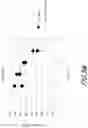 Fig. 10 - Electrodes, electrochemical cells, and methods of forming electrodes and electrochemical cells