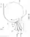 Fig. 14 - Electrochemical cells having one or more multilayer electrodes