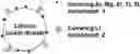 Fig. 01 - Lithium nickelate-based positive electrode active substance particles and process for producing the same, and non-aqueous electrolyte secondary battery