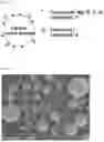Fig. 02 - Lithium nickelate-based positive electrode active substance particles and process for producing the same, and non-aqueous electrolyte secondary battery