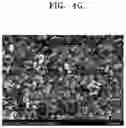 Fig. 09 - Cathode, lithium-air battery including cathode and method of manufacturing lithium-air battery