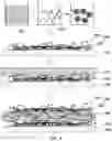 Fig. 05 - Method of manufacturing membrane-electrode assembly and membrane-electrode assembly manufactured using the same