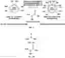 Fig. 02 - Antioxidant for fuel cells, membrane electrode assembly including the same and method for preparing antioxidant