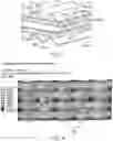 Fig. 05 - Fuel cell units having angled offset flow channels