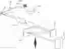 Fig. 01 - Laser apparatus including an optic dispersion compensator