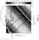Fig. 04 - Silicon photonics based tunable laser