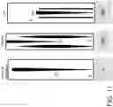 Fig. 12 - Silicon photonics based tunable laser