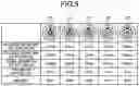 Fig. 06 - Motor with optimized dimensional relationships