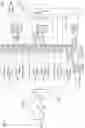 Fig. 17 - Power amplifier circuit and power amplifier module
