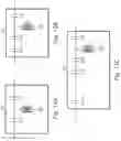 Fig. 15 - Apparatus for Antenna Impedance-Matching and Associated Methods