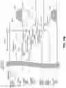 Fig. 24 - Method and apparatus for source-synchronous signaling