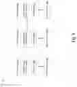 Fig. 02 - Reducing storage of blockchain metadata via dictionary-style compression