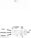 Fig. 03 - Method and apparatus for adjusting signal level in wireless communication system