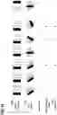 Fig. 13 - Retransmission of random access message based on control message from a base station