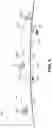 Fig. 06 - Phased array with independently steerable beams