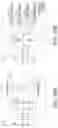 Fig. 41 - Multiple upstream split support in a fiber-deep HFC network