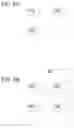 Fig. 04 - Threshold digital signature method and system