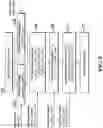 Fig. 06 - Ring signature-based anonymous transaction