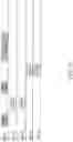 Fig. 15 - Enhanced channel sounding