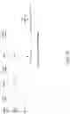 Fig. 20 - Enhanced channel sounding
