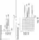 Fig. 11 - Random access PPDU for WLAN systems