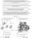 Fig. 11 - Context Based Virtual Area Creation
