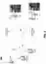 Fig. 02 - System and method for biometric heartrate authentication