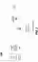 Fig. 03 - System and method for biometric heartrate authentication