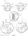 Fig. 02 - Distributed identity system with local identification