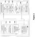 Fig. 03 - Detection of remote fraudulent activity in a client-server-system