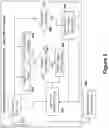 Fig. 04 - Detection of remote fraudulent activity in a client-server-system